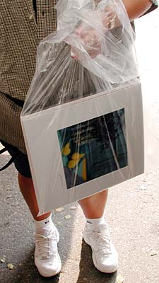 Clear plastic bags from Evergreen Bags