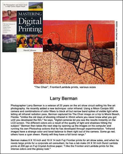 Larry Berman's Artist Statement